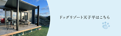 2023年8月 河津町山頂(天子平別荘地内)にドッグリゾートOPEN!